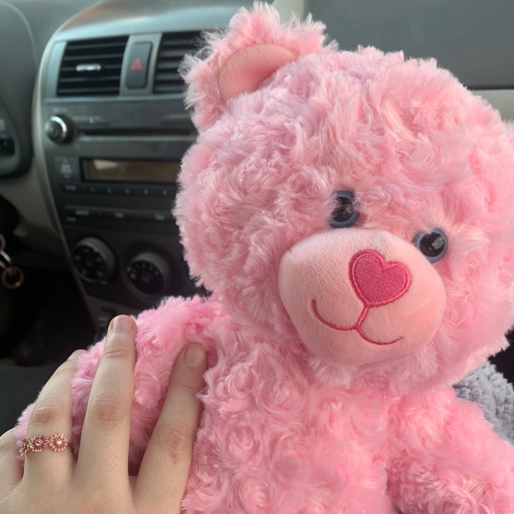 Pink buildabear